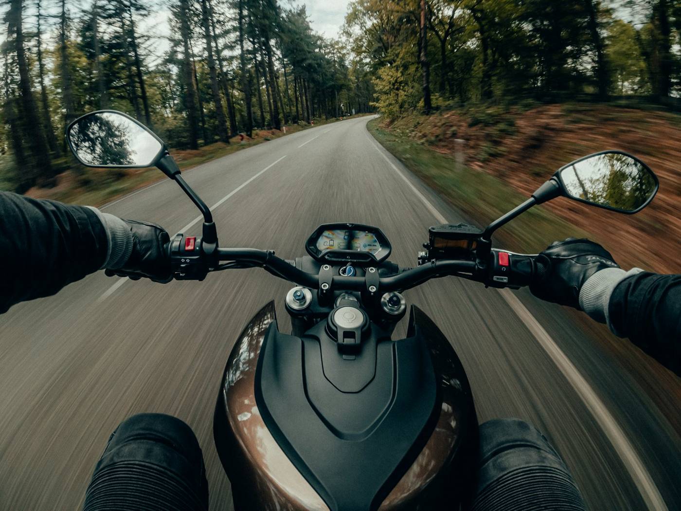 Rider's view over the handlebars and tank of a standard motorcycle on a wooded road